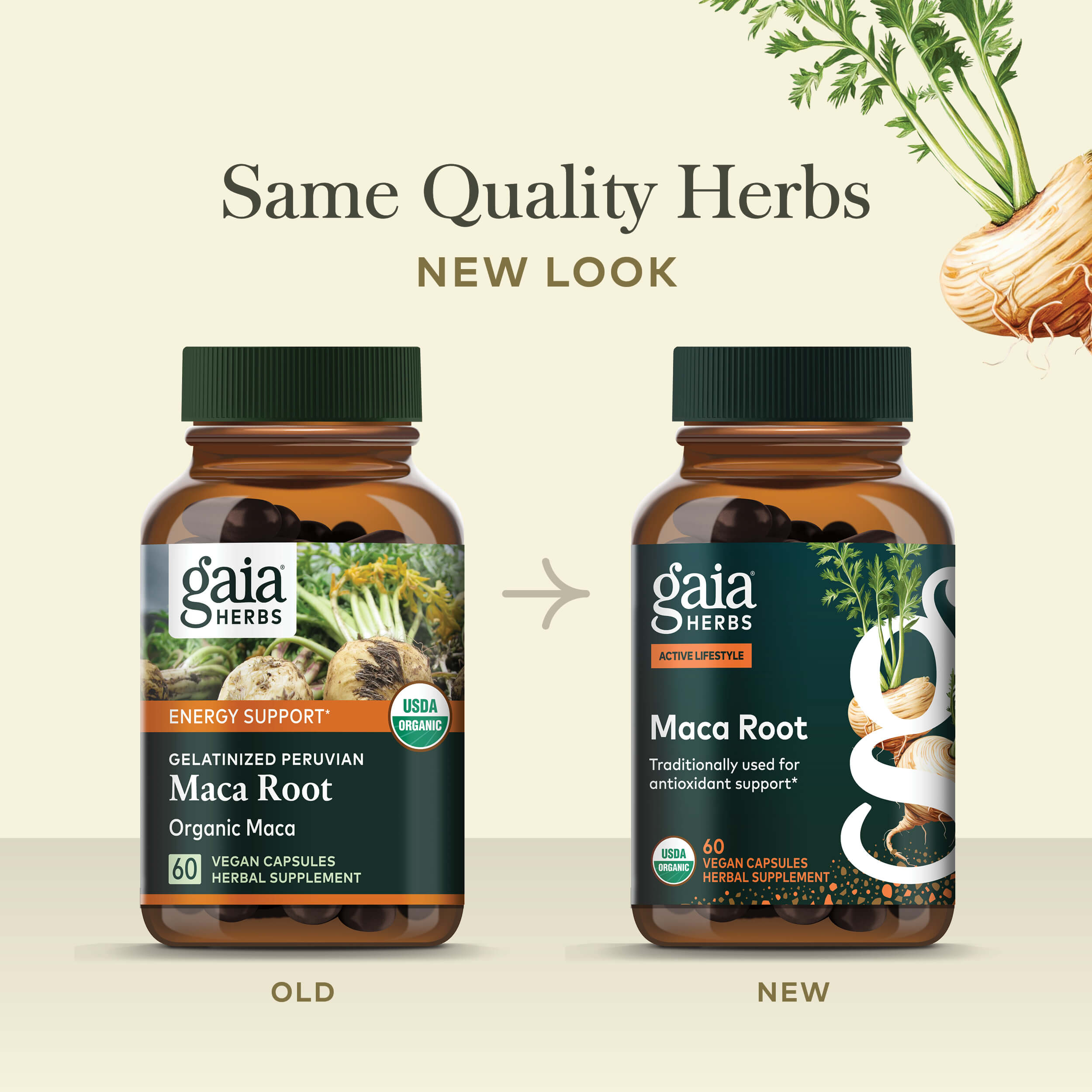 Maca Root